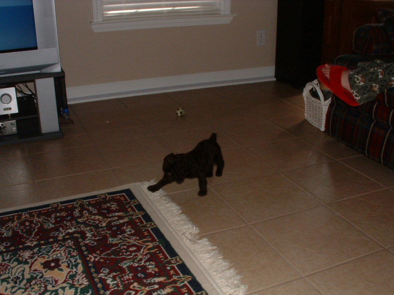 DSCF0040.jpg