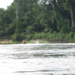 July 2008