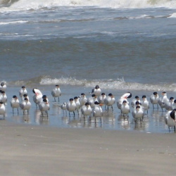 March 2008