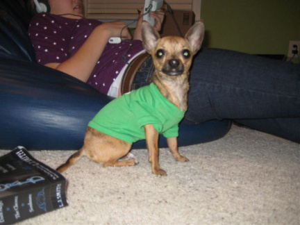pics 158