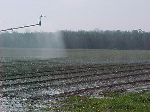 MVC_121F.jpg