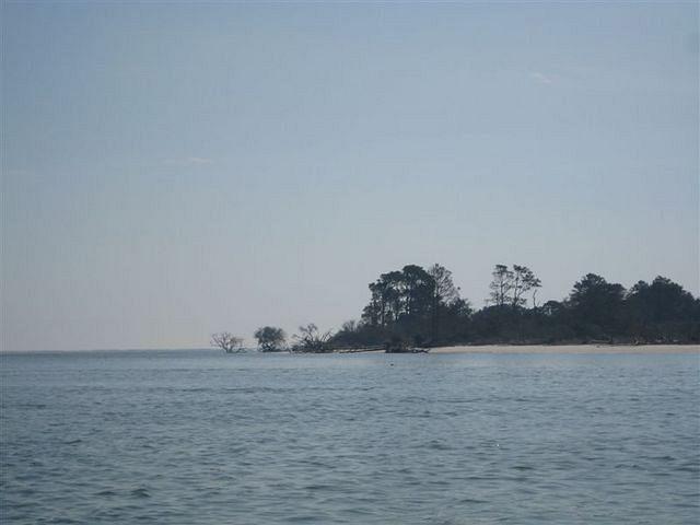 Sapelo Island 2
