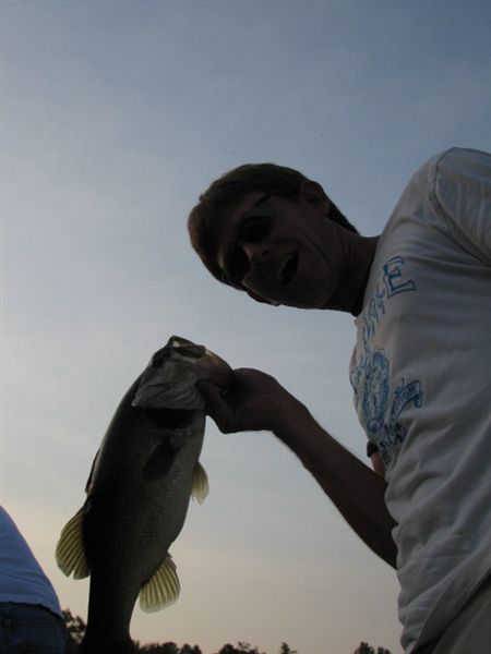 another bass