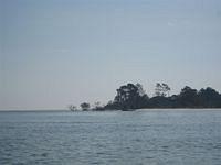 Sapelo Island 2